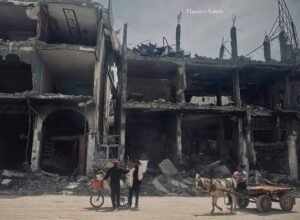 img_20240611_235637_6081260924903529655330-300x220 We live in Gaza a primitive life, its residents suffer from obtaining wood, and they risk to find it after their siege by preventing the entry of cooking gas 8 months ago.